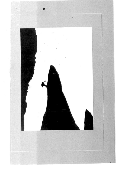 New Zealand Alpine Journal 1984 Vol 37 cover